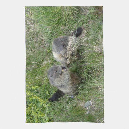 Marmots Küchentücher (Vertikal)