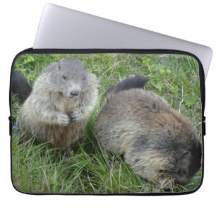 Marmots-Laptop-Ärmel Laptopschutzhülle