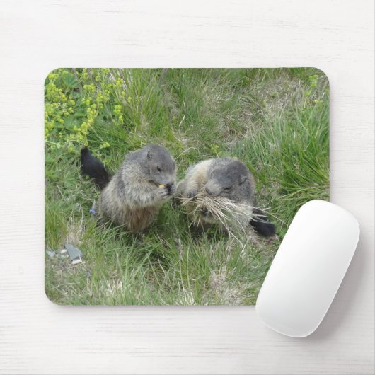 Marmots mousepad (Mit Mouse)
