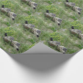 Marmots Packpapier (Ecke)