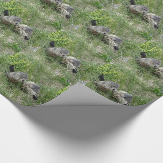 Marmots Packpapier (Ecke)