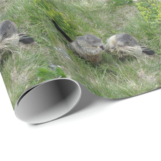 Marmots Packpapier (Rolleneckpunkt)