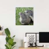 Marmots-Poster Poster (Heimbüro)