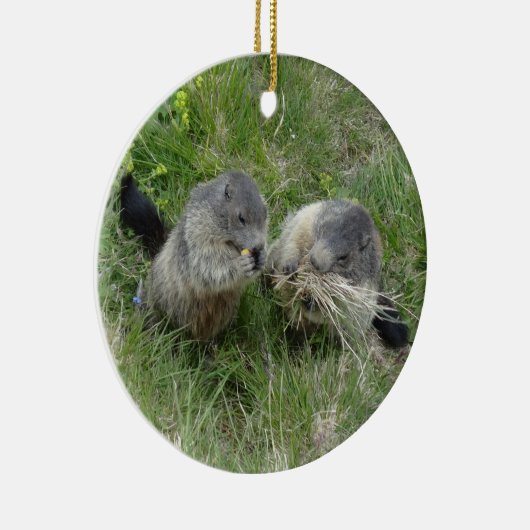Marmottenschmuck Keramikornament (Rechts)