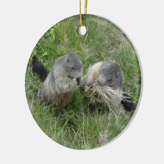 Marmottenschmuck Keramikornament (Links)