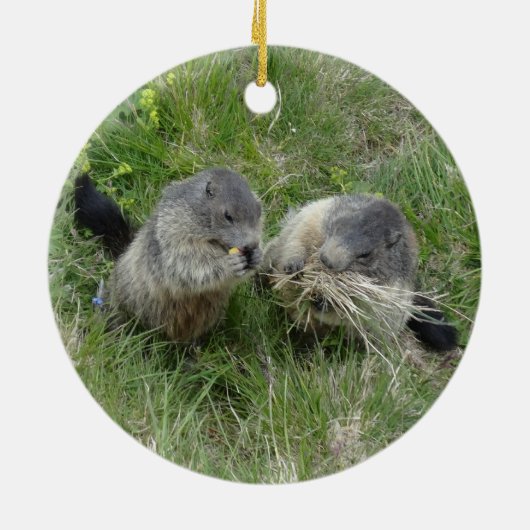 Marmottenschmuck Keramikornament (Hinten)