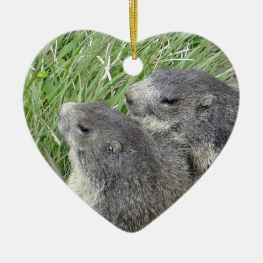 Marmottenschmuck Keramikornament (Vorne)