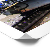 Marmottenzug in der Schweiz Poster (Ecke)