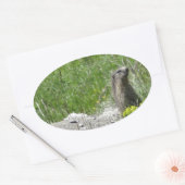 Marmottos Ovaler Aufkleber (Umschlag)