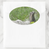 Marmottos Ovaler Aufkleber (Tasche)