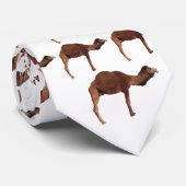 Marokkanische Kamel-Krawatte Krawatte (Gerollt)