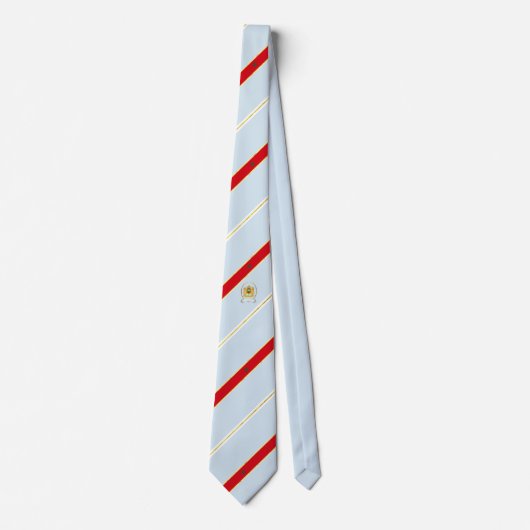 Marokko stripes Flagge Krawatte (Vorderseite)