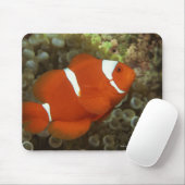 Maronclownfisch mit Anemon Mousepad (Mit Mouse)