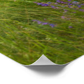 Maroon Bells Locarno Highlights Poster (Ecke)