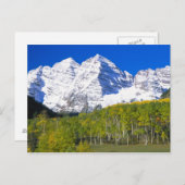 Maroon Bells mit Herbstaspenwald. Postkarte (Vorne/Hinten)