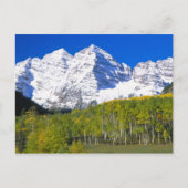 Maroon Bells mit Herbstaspenwald. Postkarte (Vorderseite)