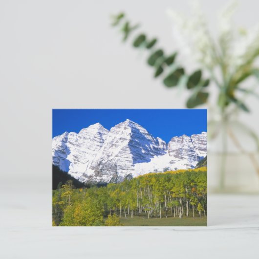 Maroon Bells mit Herbstaspenwald. Postkarte (Stehend Vorderseite)