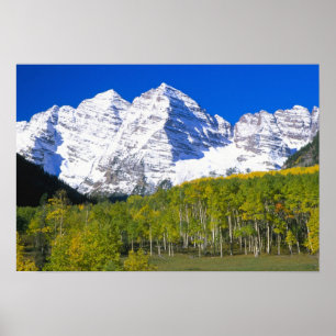 Maroon Bells mit herbstlichem Espenwald. Poster