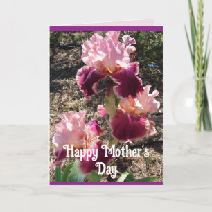 Maroon Blume Floral Iris Irish Mütter Day Card Karte