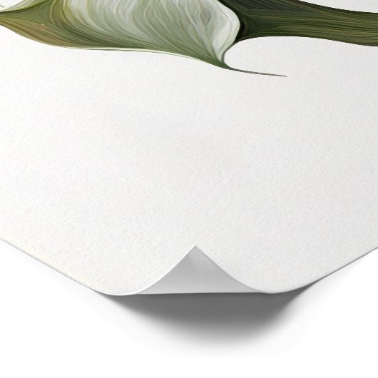 Maroon Calla Lilies Lily Blume Poster (Ecke)