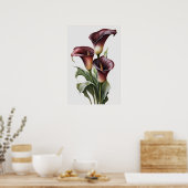 Maroon Calla Lilies Lily Blume Poster (Küche)
