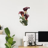 Maroon Calla Lilies Lily Blume Poster (Heimbüro)