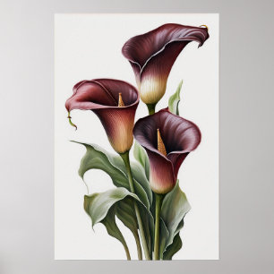 Maroon Calla Lilies Lily Blume Poster