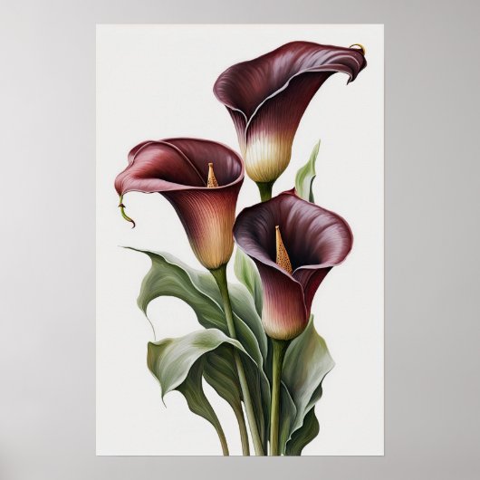 Maroon Calla Lilies Lily Blume Poster (Vorne)