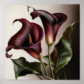 Maroon Calla Lilies Lily Blume Poster (Vorne)