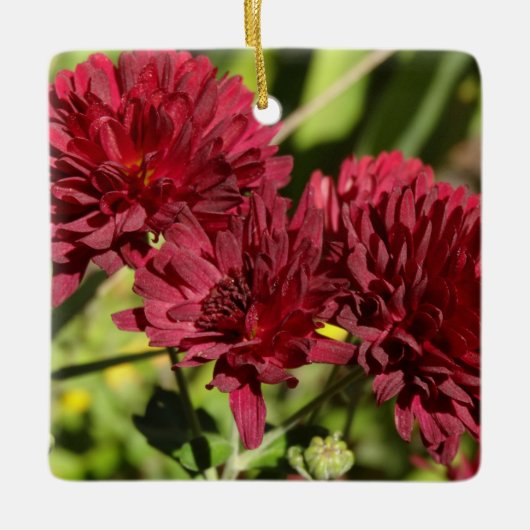 Maroon Chrysanthemums Keramikornament (Vorderseite)
