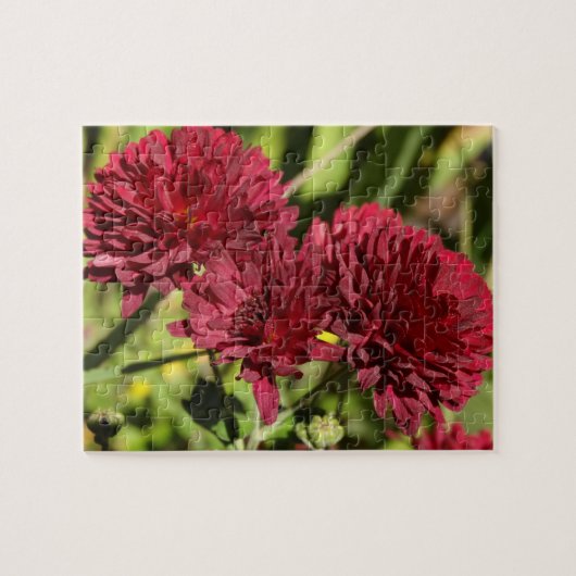 Maroon Chrysanthemums Puzzle (Horizontal)