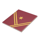 Maroon Gold Diagonal Stripes Star Moderne Grafik Fliese (Seite)