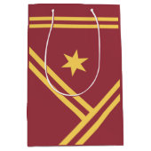 Maroon Gold Diagonal Stripes Star Moderne Grafik Mittlere Geschenktüte (Vorderseite)