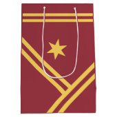 Maroon Gold Diagonal Stripes Star Moderne Grafik Mittlere Geschenktüte (Rückseite)