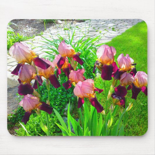 Maroon Iris Blume Mousepad (Vorne)