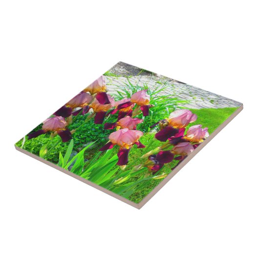 Maroon Iris Blume Patch Fliese (Seite)