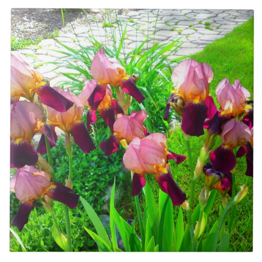 Maroon Iris Blume Patch Fliese (Vorderseite)