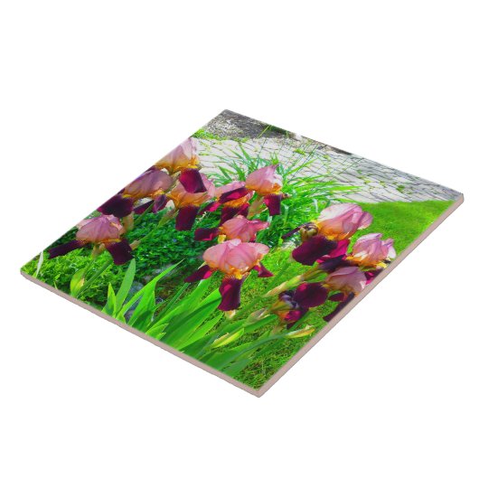 Maroon Iris Blume Patch Fliese (Seite)