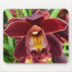 Maroon Orchideen I Schöne rote Blumen Mousepad