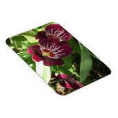 Maroon Orchideen II Elegante Blumen Magnet (Rechte Seite)