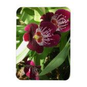 Maroon Orchideen II Elegante Blumen Magnet (Vertikal)