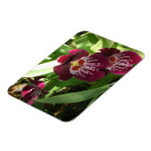 Maroon Orchideen II Elegante Blumen Magnet (Linke Seite)