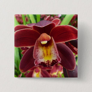 Maroon Orchids I Beautiful Red Floral Button