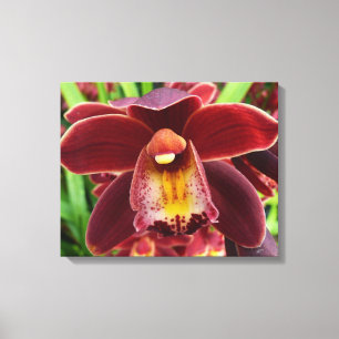 Maroon Orchids I Beautiful Red Floral Leinwanddruck