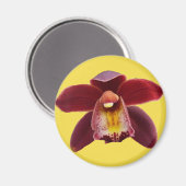 Maroon Orchids I Beautiful Red Floral Magnet (Vorderseite/Rückseite)