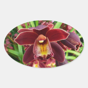 Maroon Orchids I Beautiful Red Floral Ovaler Aufkleber