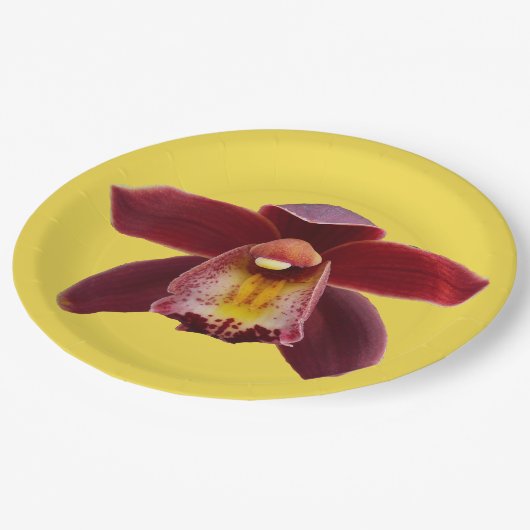 Maroon Orchids I Beautiful Red Floral Pappteller (Schrägansicht)