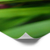 Maroon Orchids I Beautiful Red Floral Poster (Ecke)