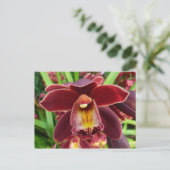 Maroon Orchids I Beautiful Red Floral Postkarte (Stehend Vorderseite)