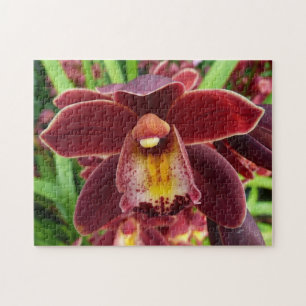 Maroon Orchids I Beautiful Red Floral Puzzle